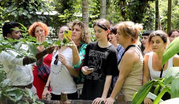 Ontdek de essentie van Sri Lanka - 8 dagen | Luxe | 3 - 4 sterren hotels-rondreis