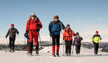 Norway Cross-country Skiing Tour