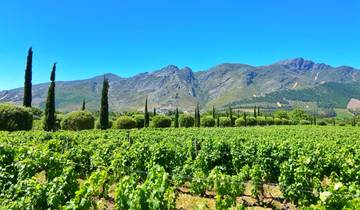 3D-daagse privétour door Kaapstad - Stellenbosch Winelands Hele dag;Robbeneiland en Tafelberg National Park