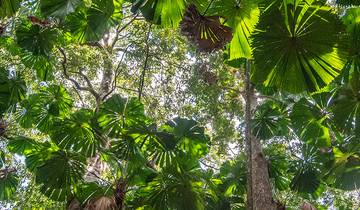 Aventura en la costa este de Australia (29 destinations)