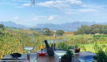 Jours 3 Le Cap - Dégustation de vin à Constantia - Circuit privé au Cap - Aquila Safari Adventure et transfert privé aller-retour à l'aéroport du Cap