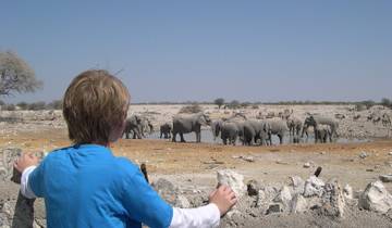 Namibian Family Adventurer Tour