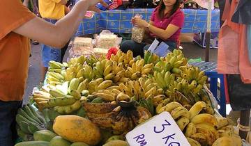 12 Day Borneo Itinerary, incl. Kota Kinabalu and Kinabatangan