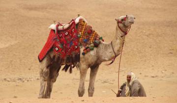 LE CAIRE, ALEXANDRIE ET SIWA circuit