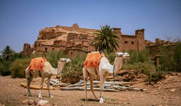 Ab Casablanca: 7-tägige private Marokko-Tour nach Marrakesch über Chefchaouen und die Wüste Rundreise
