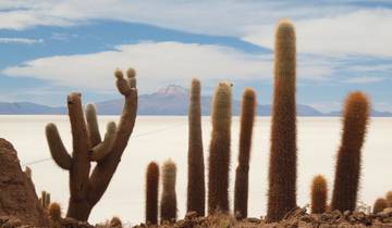 Circuito Viaje al corazón de los Andes