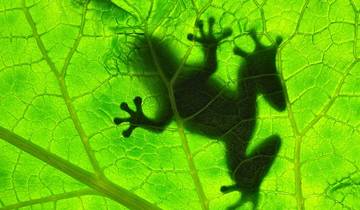 Costa Rica Adventure Family Holiday