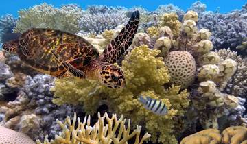 Circuito Presentación de Australia - Melbourne, Sydney, Cairns