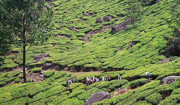 14 Day Southern India Itinerary, incl. Mysore and Kerala