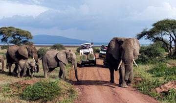 Tanzanie - Culture tribale, volcans, faune et plage (11 jours) circuit