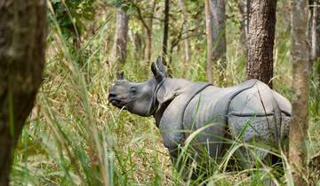 India and Nepal Luxury Trails By G Experiences