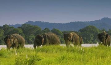 India and Nepal Luxury Trails By G Experiences