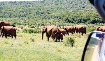 Ultimate Garden Route Budget Adventure Tour