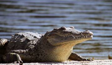 Au-delà du Taj : Triangle d\'or et safari au crocodile de Chambal circuit