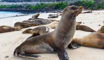 Circuito Crucero Quito & Galápagos - 7 días