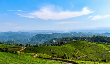 Circuito Kochi y Kerala (3 estrellas) - 8 días