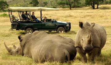 3-Day Customizable Garden Route Explorer Package Tour