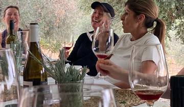 SenderismoMujeres Ruta del Vino por el Priorat, Norte de España (sólo para mujeres)