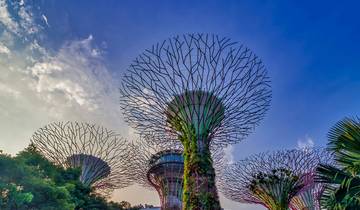 Découverte du Vietnam et de Singapour - 13 jours