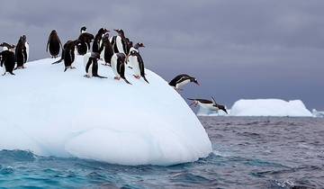 20 Days in Antarctica, incl. Falklands and South Georgia