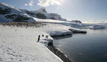 20 Days in Antarctica, incl. Falklands and South Georgia
