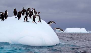 Antarctic Explorer : A la découverte du 7ème continent (Ocean Explorer), exploité par Quark