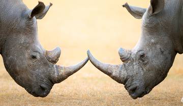 Safari classique et Le Cap - 7 jours