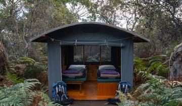 Marche sur l'île Maria en Tasmanie (Porté)