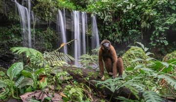 4 jours d\'expérience premium et durable en Amazonie circuit