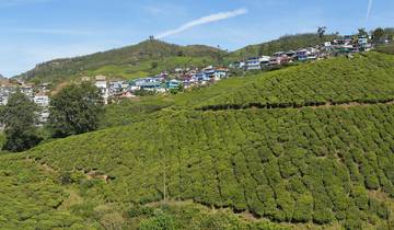 Circuito Viaje Espiritual a los Templos del Sur de la India y Kerala, Todo Incluido