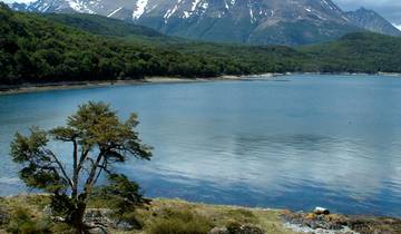 Circuit de 5 jours à Ushuaia pendant la saison des pingouins (d\'octobre à mars) circuit
