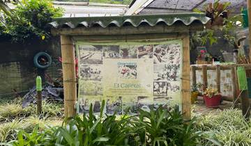 6-Day Medellín Coffee Experience, Private Tour