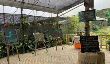 6-Day Medellín Coffee Experience, Private Tour