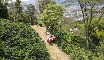 Experiencia cafetera de 6 días en Medellín, viaje privado