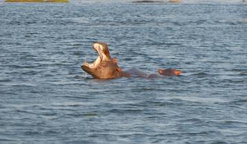 Itinéraire des hauts lieux du Zambèze : Chutes Victoria, safari et croisière sur le Zambèze - 3 jours