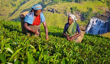 Le meilleur du Sri Lanka (30 destinations)