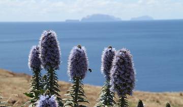 Walking the Island of Madeira