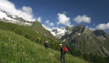 Tour du Mont Blanc Camping Trek Tour