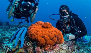 13 jours Philippine Palawan Island Hopping Odyssey (guide privé et chauffeur）Family Tour)