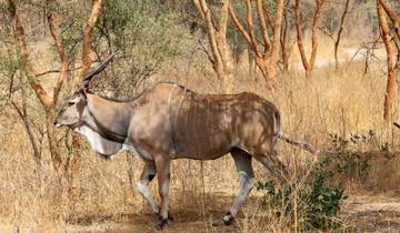 Découvrir le Sénégal - 6 jours circuit