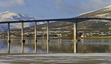 Entre el hielo y el océano