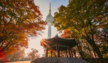 Des merveilles de Séoul au charme de Tokyo - 16 jours circuit