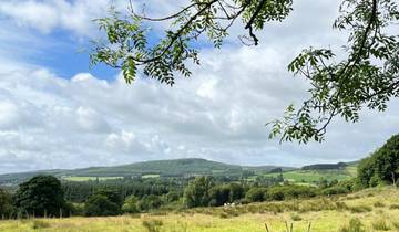 Wicklow Way, 8-day Self-guided walking