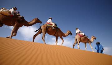 Von Casablanca: Privat 11 Tage Chefchaouen, F& Wüste Rundreise