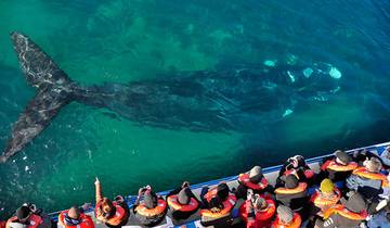Circuito Maravilla Natural de Puerto Madryn