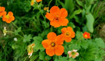 Six-Night Luxury Escape: Four Nights at a 5* Spa Retreat & Two Nights in Sofia