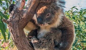 ADAC-Special Weltnaturerbe Australiens Rundreise