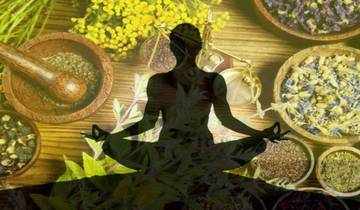 Privé 7-daagse Ayurveda immuniteitsversterking & immunisatieretraite in Kerala-rondreis