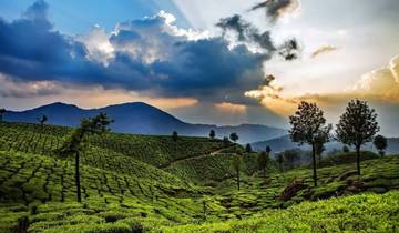 Explore Kerala with Authentic Ayurvedic Wellness Experiences Tour