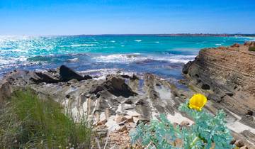 Majorque - Visite d'une finca avec charme